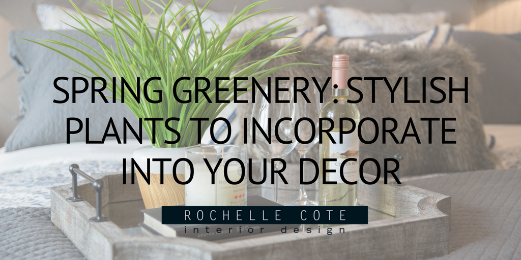 SPRING GREENERY: STYLISH PLANTS TO INCORPORATE INTO YOUR DÉCOR